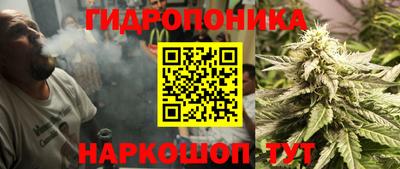 тгк Кинель