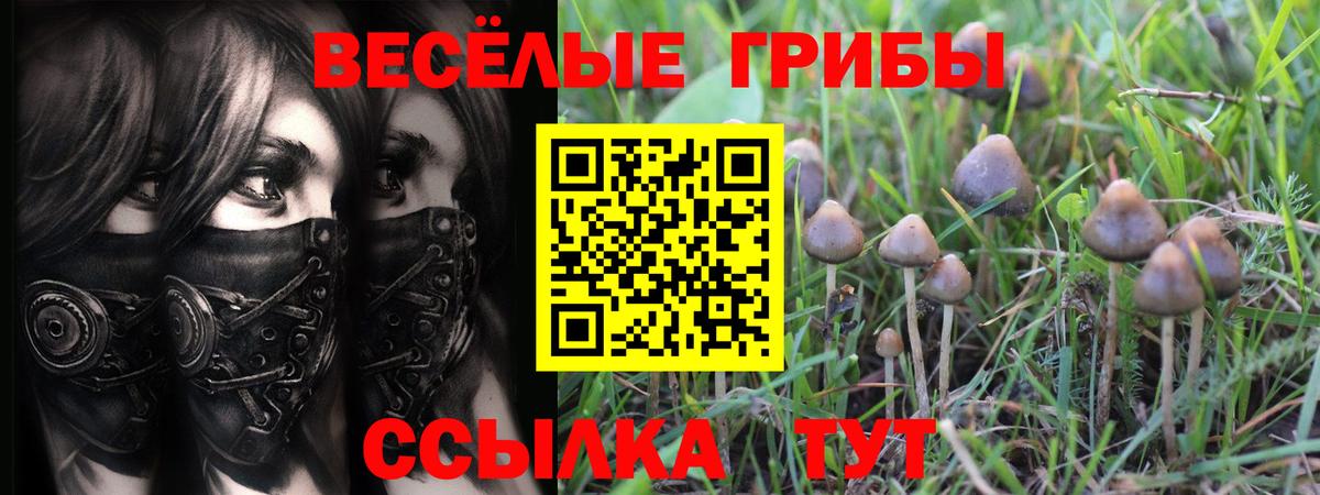 Псилоцибиновые грибы мухоморы Королёв