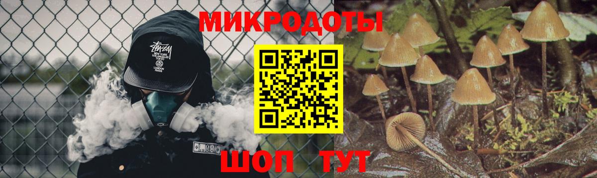 Псилоцибиновые грибы прущие грибы  купить   Галлюциногенные грибы Cubensis  Королёв  Вход с VPN 